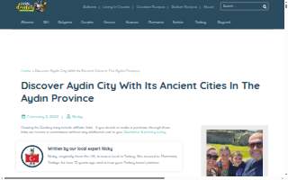 Aydin's Auto Sales website