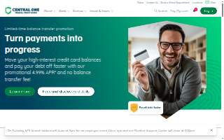 Central Electric Co LLC website