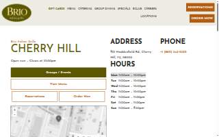Brio Hair Company website