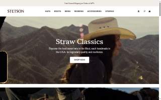 Stetson Dental Care website