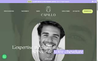 Capillo's Landscaping website