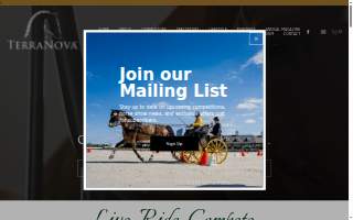 Terranova & Associates CPA, LLC website