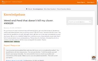 CLOVER ON COURT (Formerly Harp and Clover) website