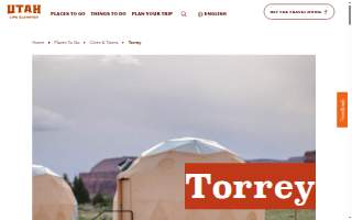 The Torrey Company website