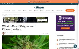 Kush Arora Criminal Defense Attorney website