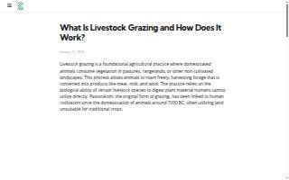 The Grazing Room at Boards by Dana website