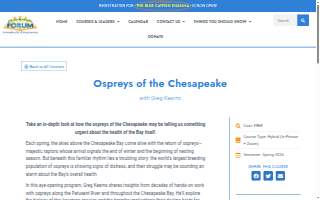 Chesapeake Wellness Center of Elkton website