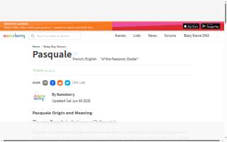 Pasquale’s Property Service website