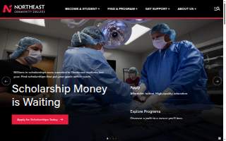NorthEast Electrical of Sanford website