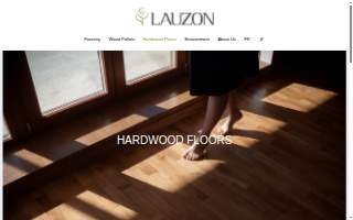 Lauzon Law,LLC website