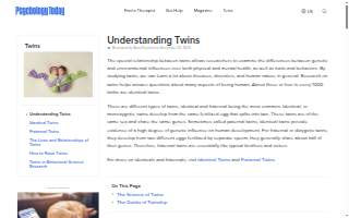 Twin Electric website