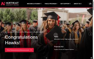NorthEast Electrical of Augusta website