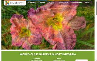 Gibbs Plumbing & Drain website