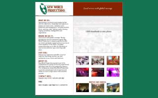 Performance Therapy Chiropractic & Wellness website