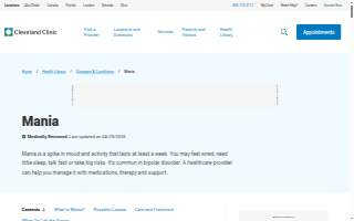 Manic Construction website