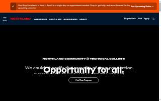 Precise Chiropractic of Troy website