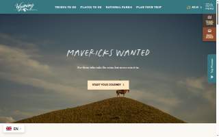 Wyoming Dental website