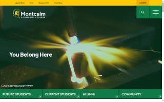 Montcalm Auto Sales website