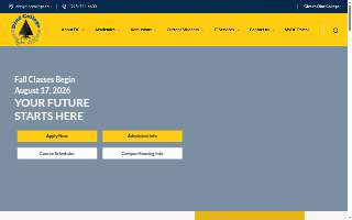 Dine Veterinary Hospital website