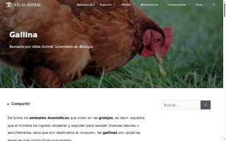 Justgoodchefs website