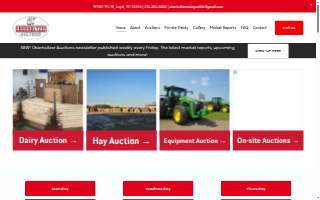 Loyal Auto Sales of St. Clair Shores website