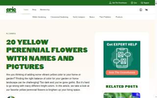 Holiday Inn Express & Suites Dearborn SW - Detroit Area website