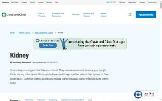 Kidney Health Clinic PC website
