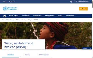 The Wash Boys Property Maintenance & Landscape Contractor website