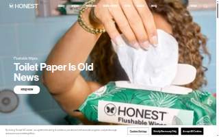 The Honest Plumbers & Drain Services of Dearborn website