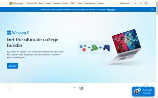 Baumann Law Office website