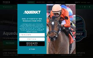 Aqueduct Plumbing Co website