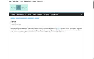 Newt’s Apple Valley website