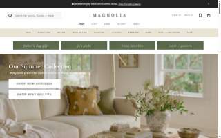 Magnolia Dental Care of Edina website