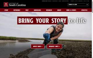 Edina Sports and Family Medicine website
