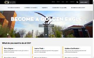 CSI Accounting & Payroll website