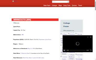 Minnesota Hair website