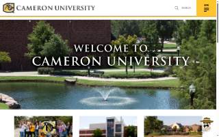 Cameron Voss Edina Realty website