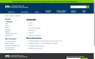 Wildlife Rehabilitation Center website