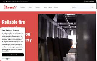Larsen Motors website