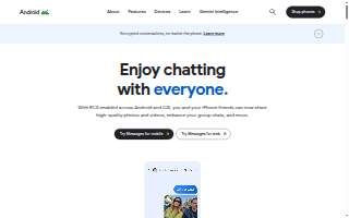 Larmil Business Services website