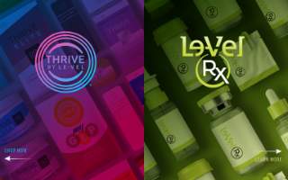 The Level Salon website
