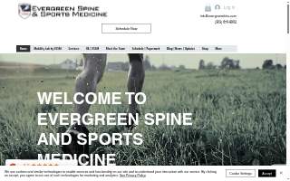 Evergreen Chiropractic website