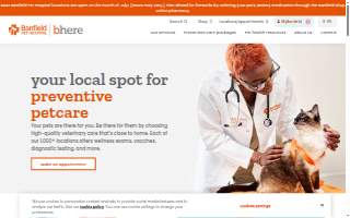 Lindenwood Auto Service website