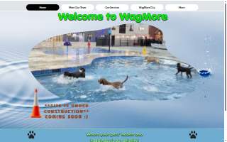 Wagmore Animal Hospital website