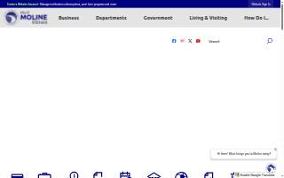 Moline CPA, LLC website