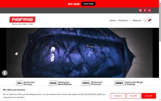 Norma's Tax Service website
