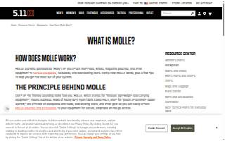 Molle Chevrolet website