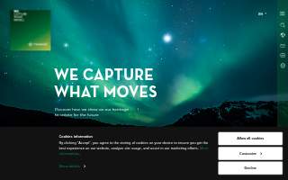Mane Cut website