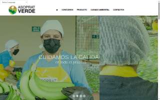 Bridgetown Trucking: St. Louis website