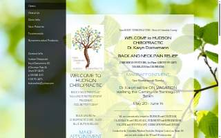 Hudson Chiropractic website